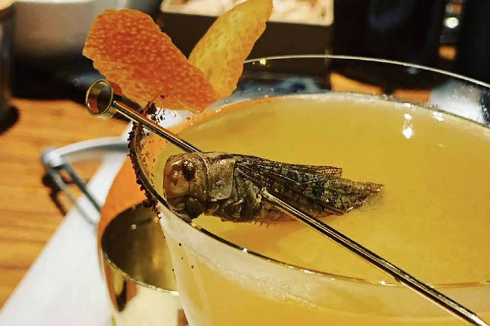 bécs 2020 beethoven