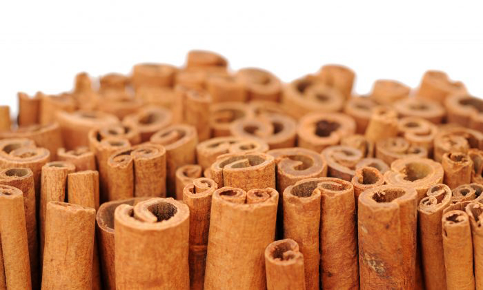 cinnamon 03