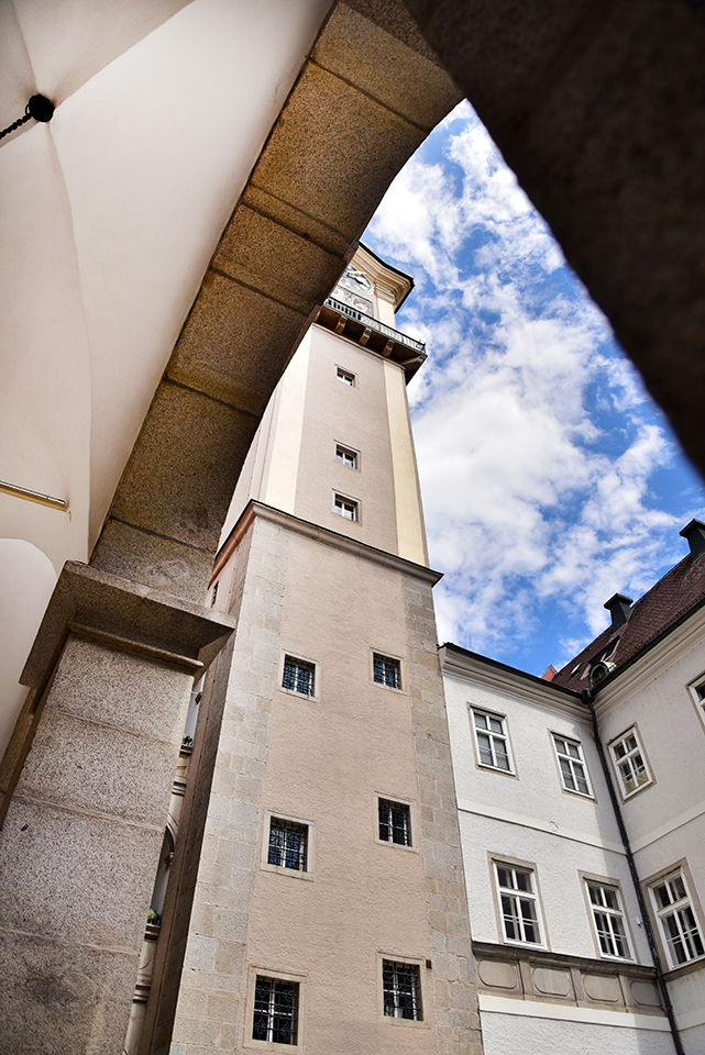 linz 31
