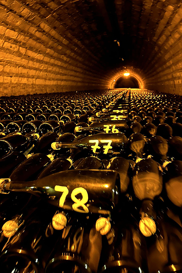 champagne 08