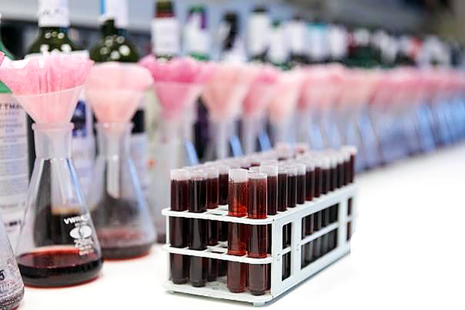 kekfrankos eredmeny 01