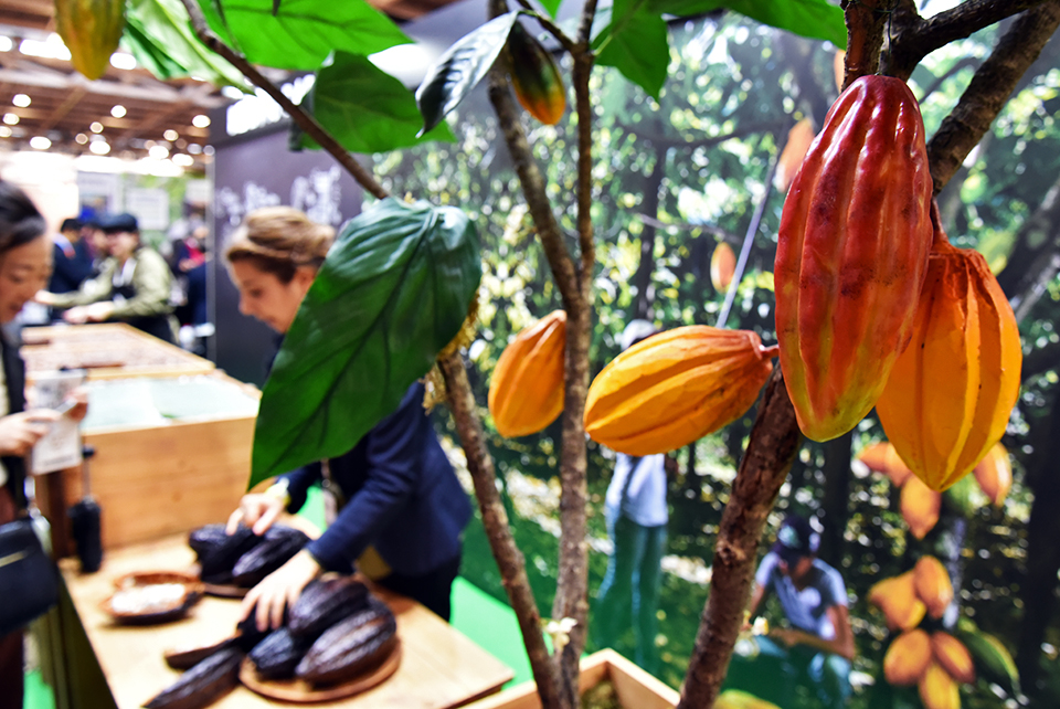 salon du chocolat 47