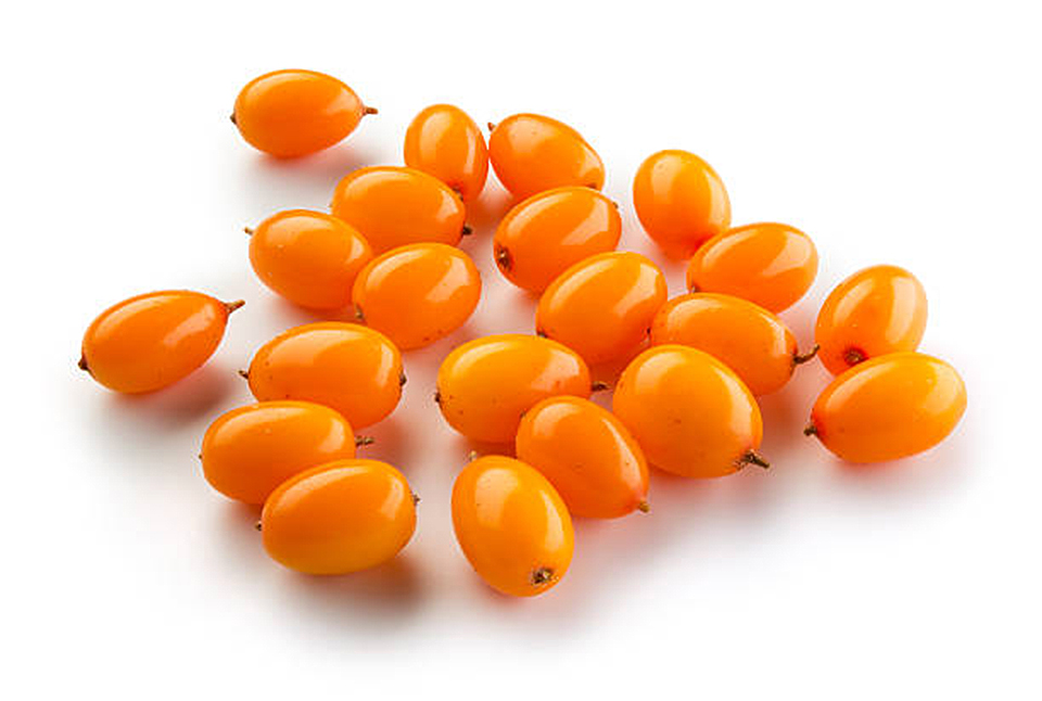 Homoktövis 021