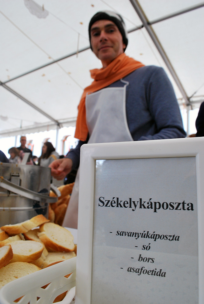 vegánfeszt 11