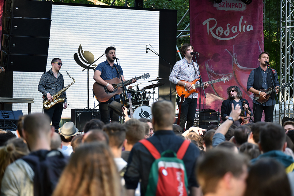 a rosalia 2019 04
