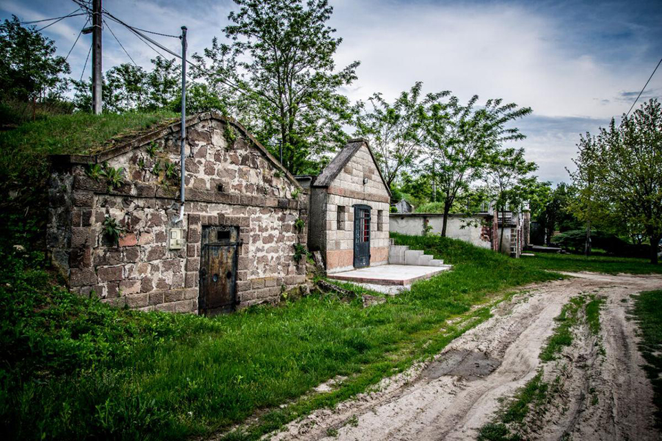 borosszeallaitas hajdu roland