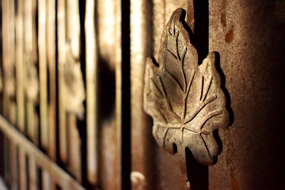 borosszeallaitas hajdu roland 02