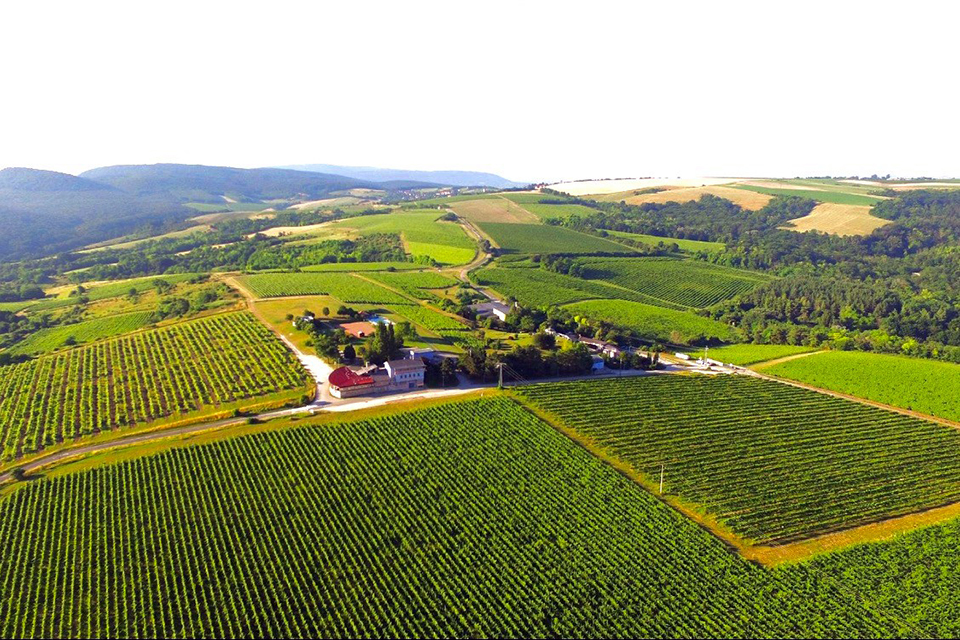 borosszeallaitas hilltop