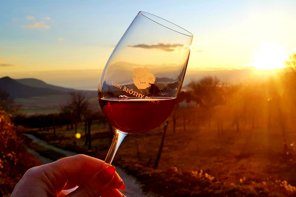 borosszeallaitas von boethy 01