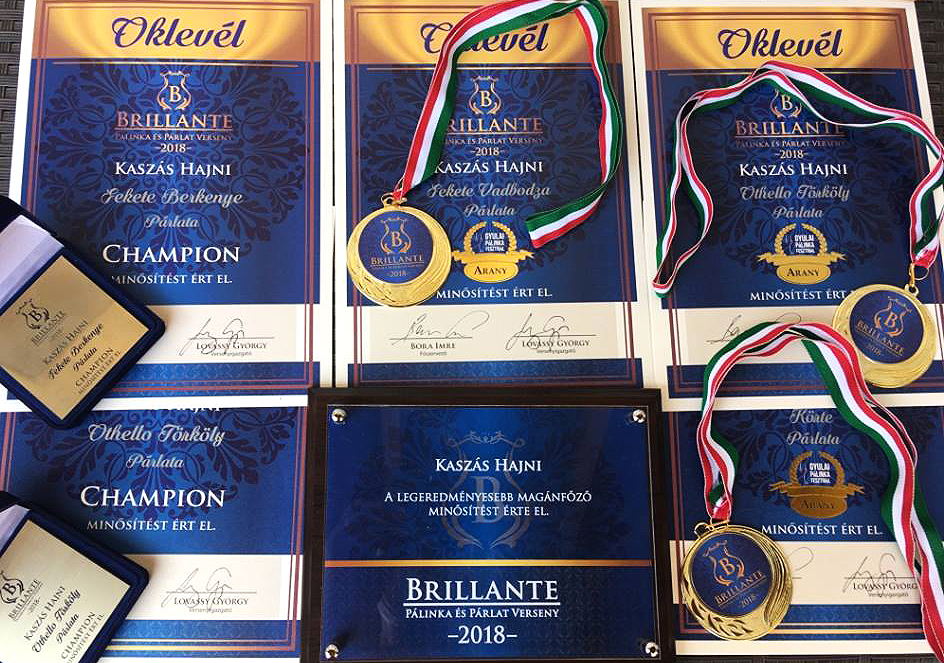 gyulai palinkafeszt 02