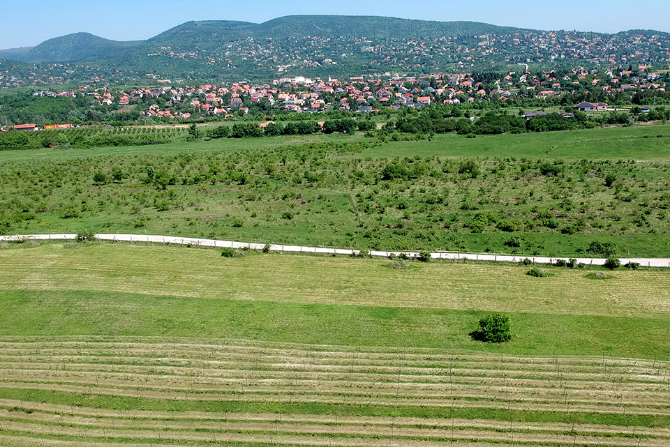 köhegybor 18