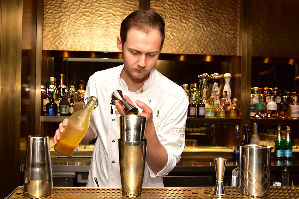 molnárbalázs bf b03