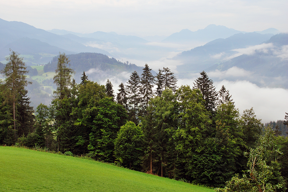 ausztria reggeli 06