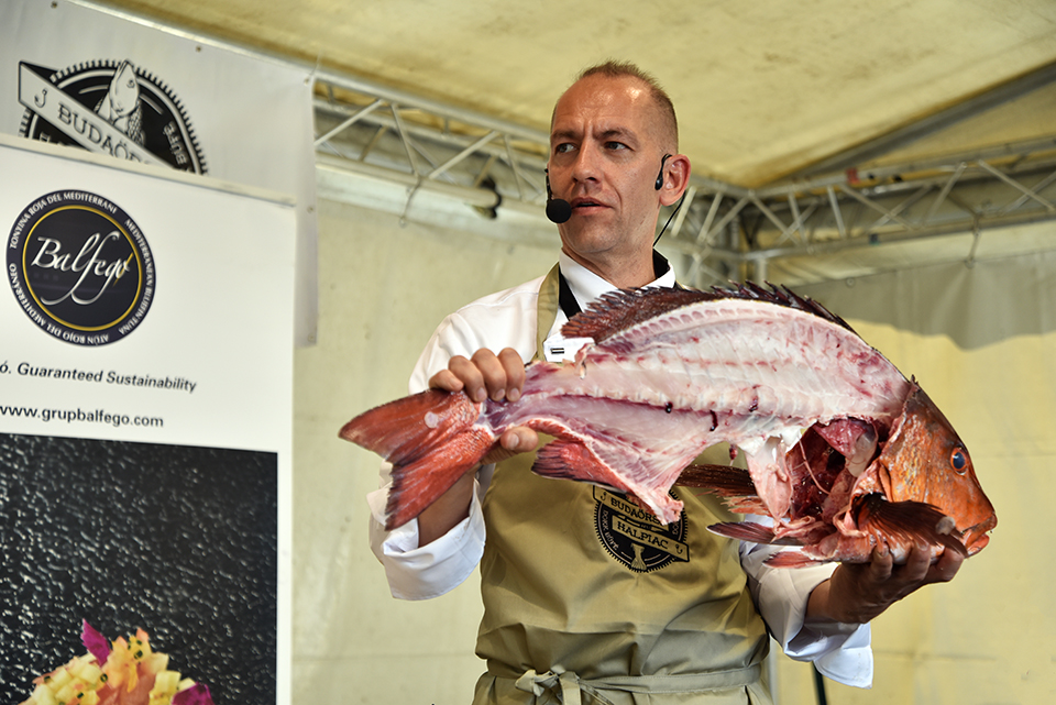 budaörsi halünnep 20