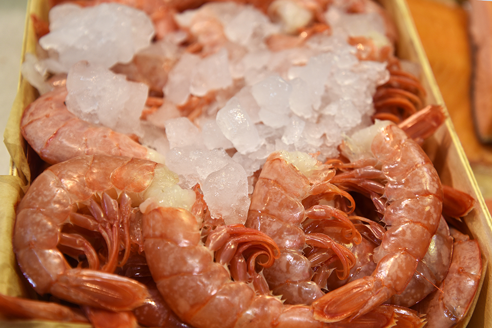 budaörsi halünnep 29