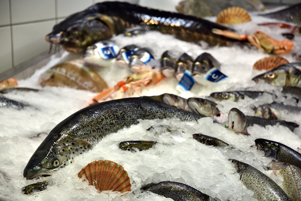 budaörsi halünnep 31