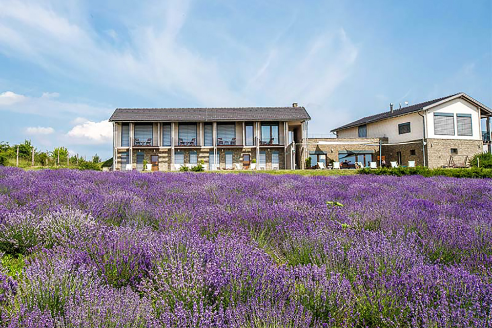 húsvéti ajánló 05